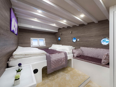 Luxurious cabin with a double bed, TV and couch